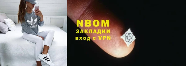 мет Алексин