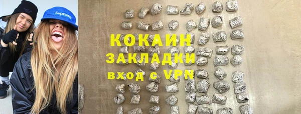 шишки Алзамай