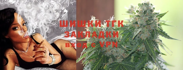 шишки Алзамай
