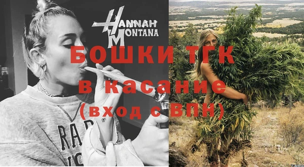 шишки Алзамай
