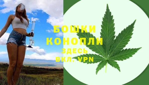 шишки Алзамай