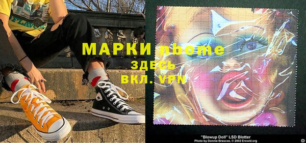 шишки Алзамай