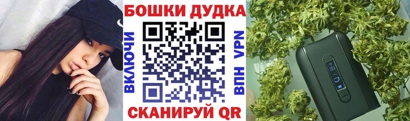 площадка какой сайт  Краснознаменск  Шишки марихуана Amnesia 